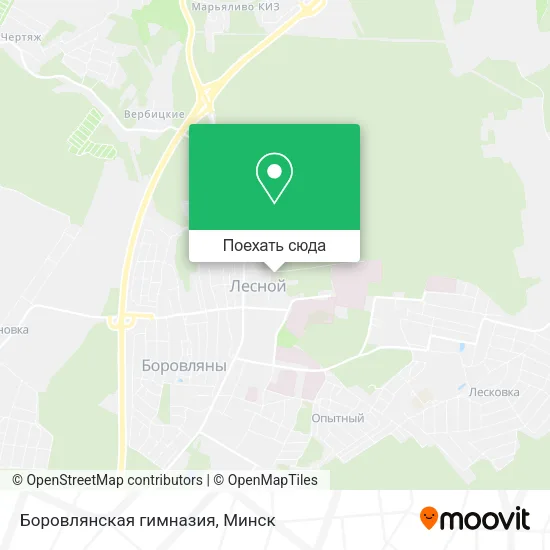 Карта Боровлянская гимназия