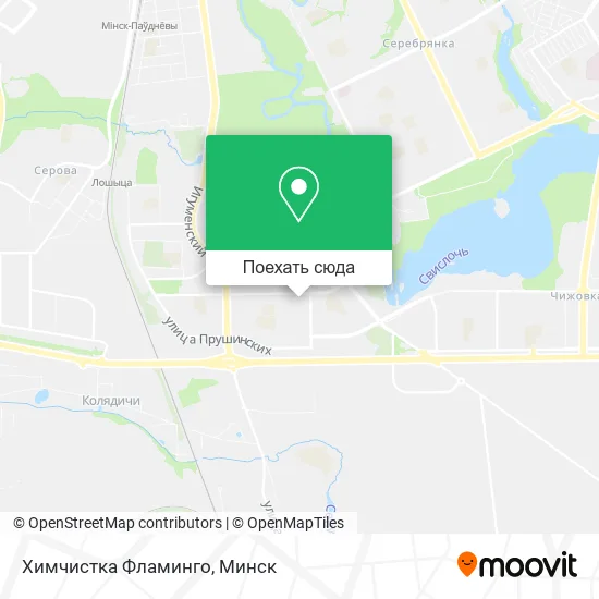 Карта Химчистка Фламинго