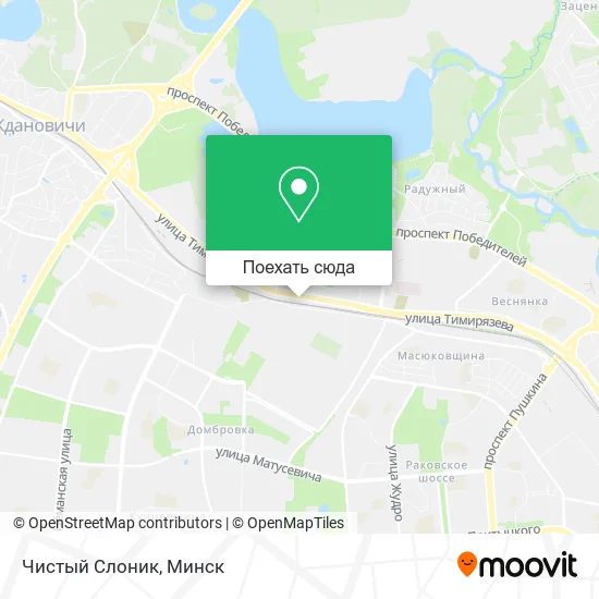 Карта Чистый Слоник