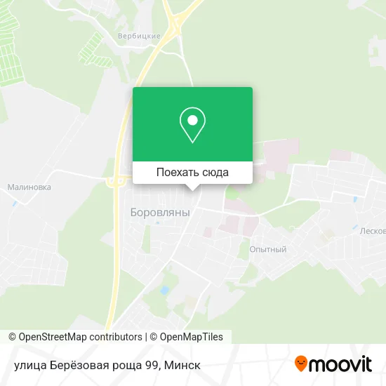 Карта улица Берёзовая роща 99