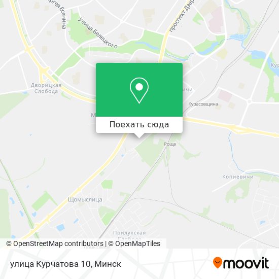 Карта улица Курчатова 10