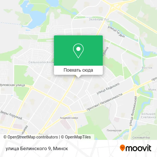 Карта улица Белинского 9