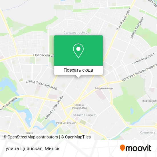 Карта улица Цнянская