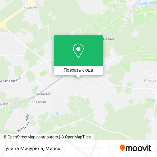 Карта улица Мичурина