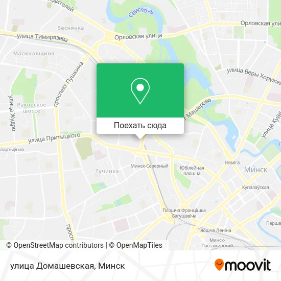 Карта улица Домашевская