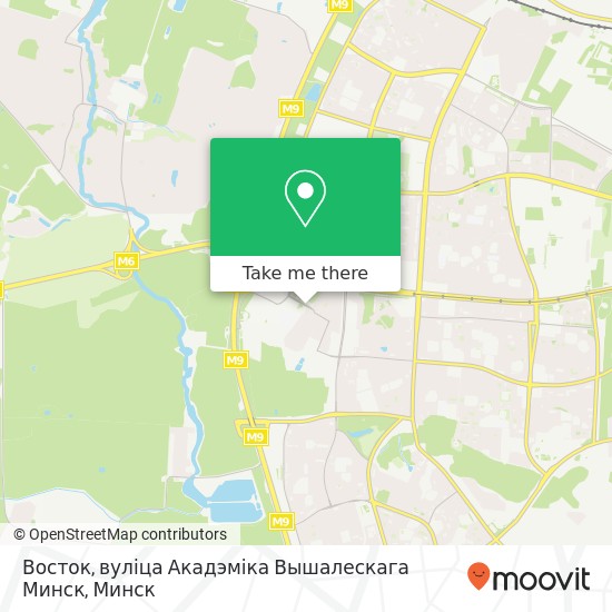 Карта Восток, вуліца Акадэміка Вышалескага Минск