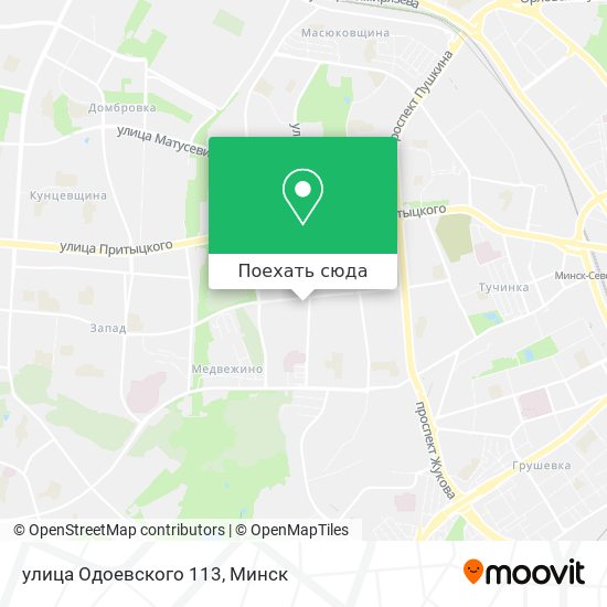 Карта улица Одоевского 113
