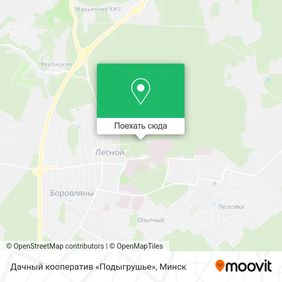 Карта Дачный кооператив «Подыгрушье»