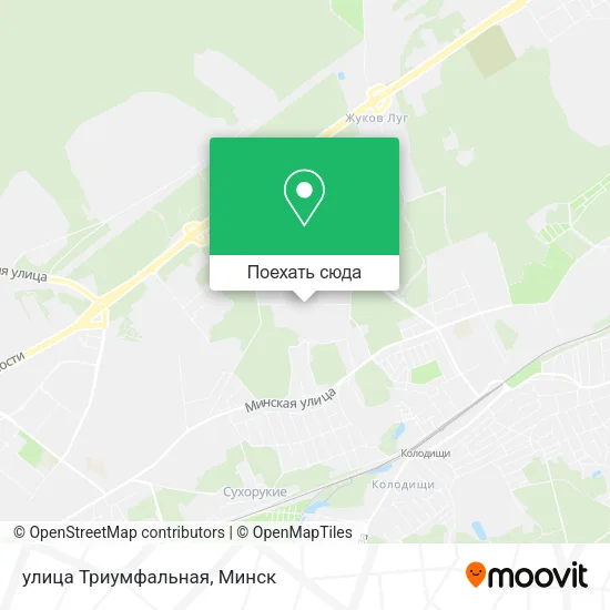 Карта улица Триумфальная