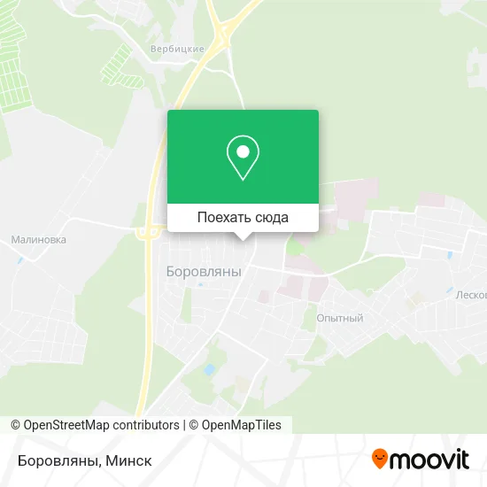 Карта Боровляны