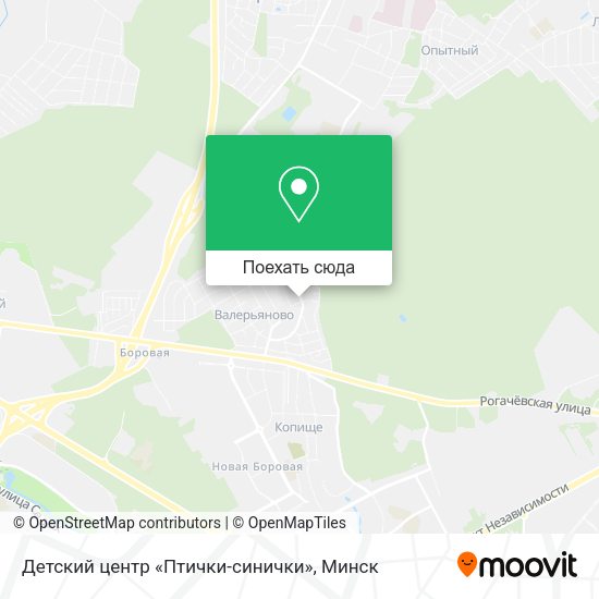 Карта Детский центр «Птички-синички»