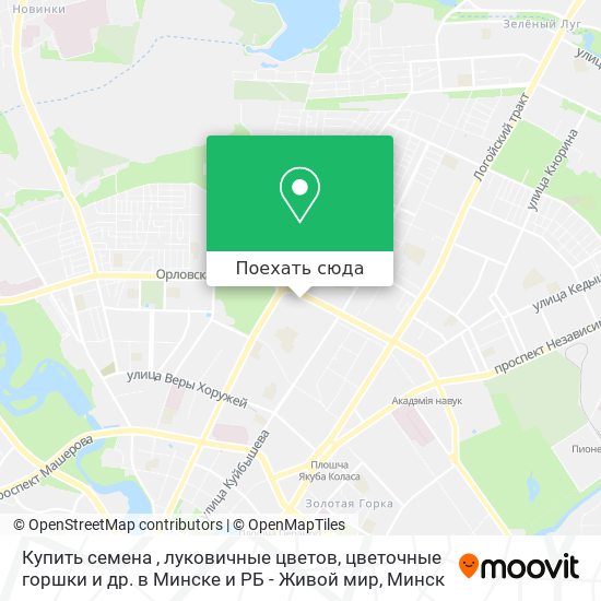 Карта Купить семена , луковичные цветов, цветочные горшки и др. в Минске и РБ - Живой мир