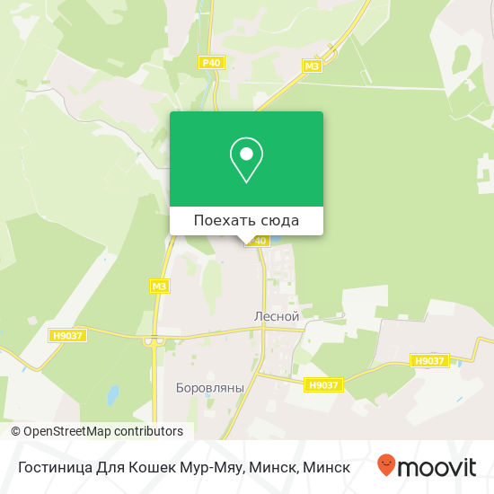 Карта Гостиница Для Кошек Мур-Мяу, Минск