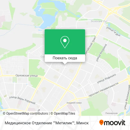 Карта Медицинское Отделение ""Метилик""