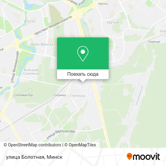 Карта улица Болотная