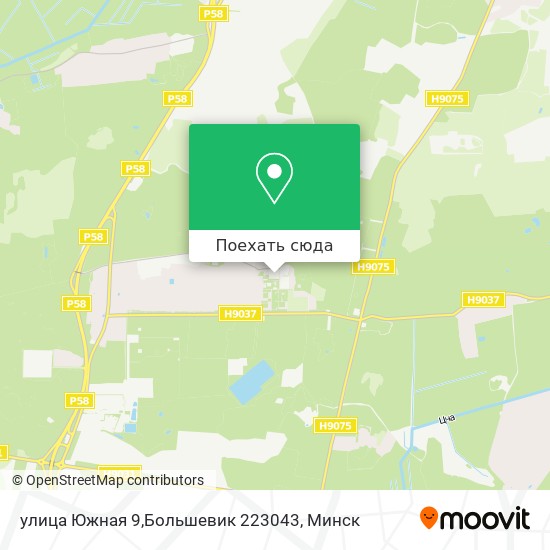 Карта улица Южная 9,Большевик 223043