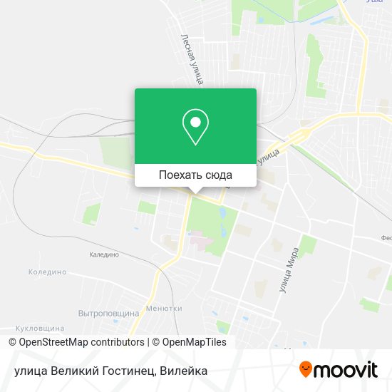 Карта улица Великий Гостинец