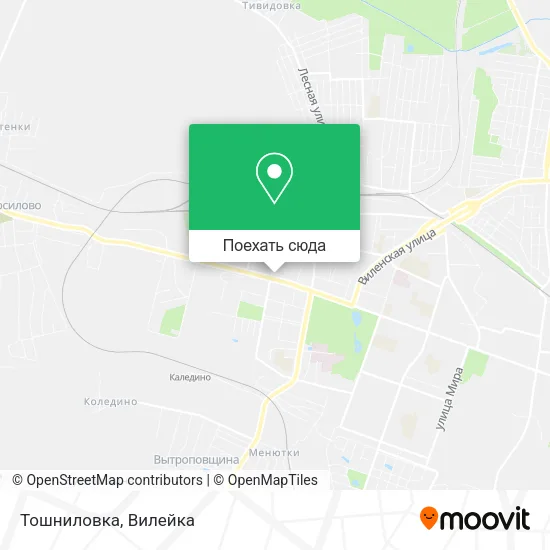 Карта Тошниловка