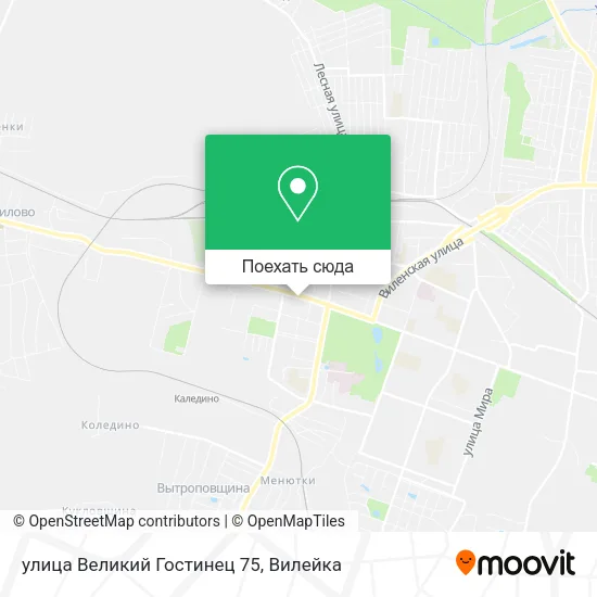 Карта улица Великий Гостинец 75