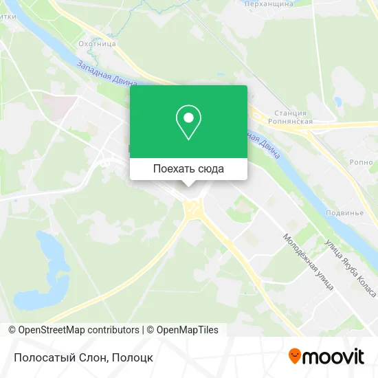 Карта Полосатый Слон