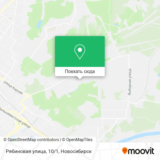 Карта Рябиновая улица, 10/1