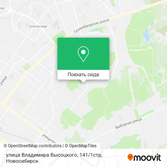 Карта улица Владимира Высоцкого, 141 / 1стр