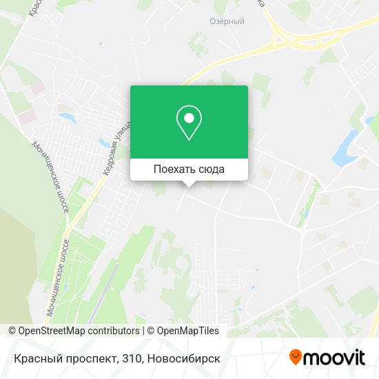 Карта Красный проспект, 310
