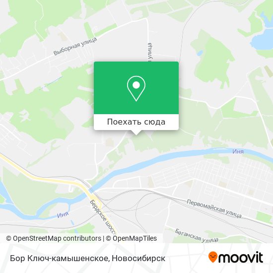 Карта Бор Ключ-камышенское