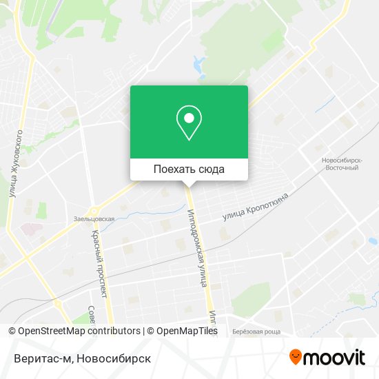 Карта Веритас-м