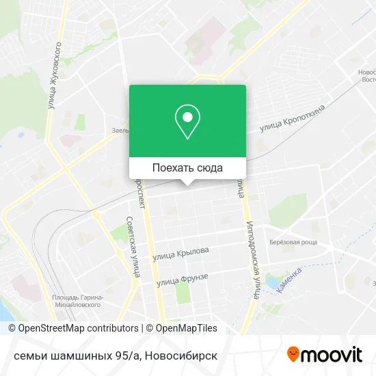 Карта семьи шамшиных 95/а
