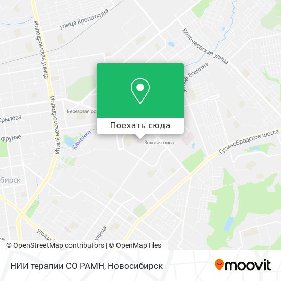 Карта НИИ терапии СО РАМН