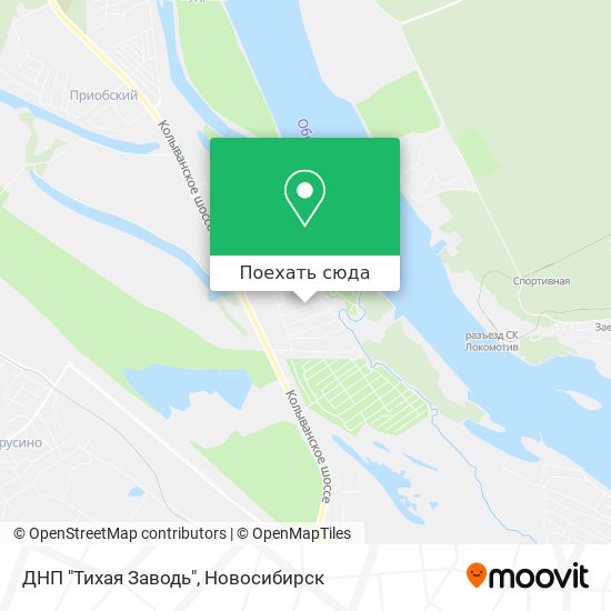 Купить Дом В Тихой Заводи Новосибирской Области