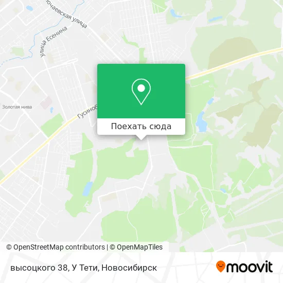 Карта высоцкого 38, У Тети
