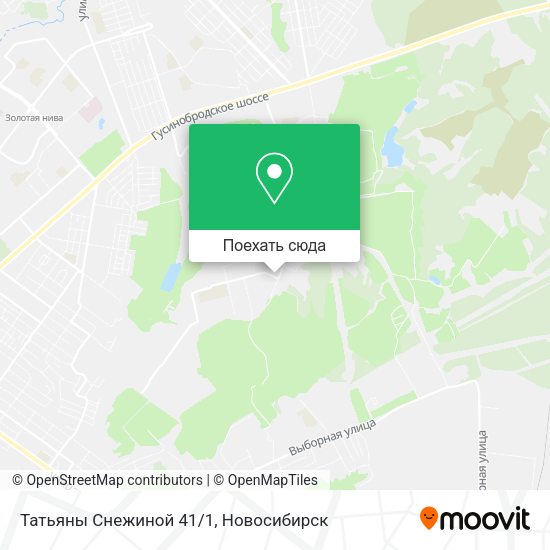 Карта Татьяны Снежиной 41/1
