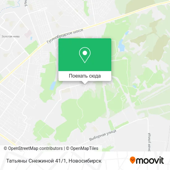 Карта Татьяны Снежиной 41/1