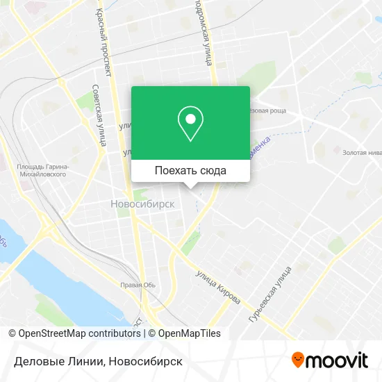 Карта Деловые Линии