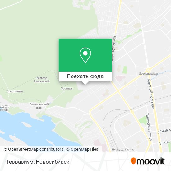 Карта Террариум