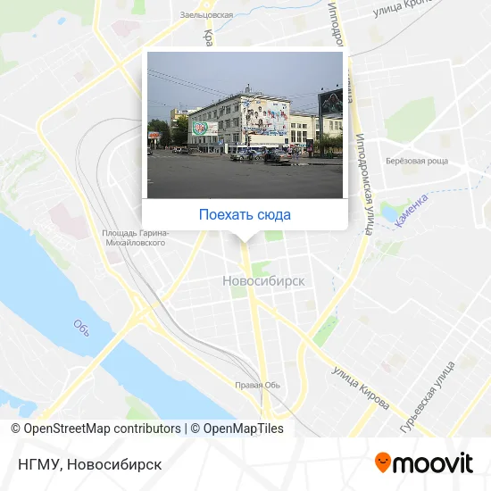 Карта НГМУ