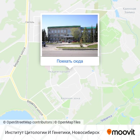Карта Институт Цитологии И Генетики