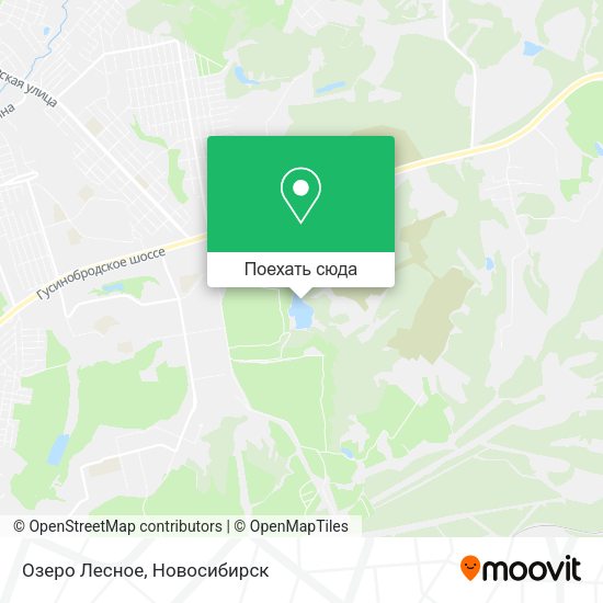 Карта Озеро Лесное