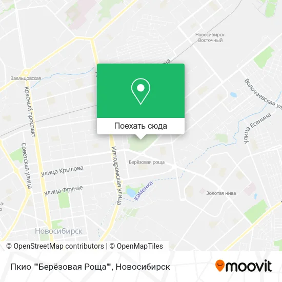 Карта Пкио ""Берёзовая Роща""