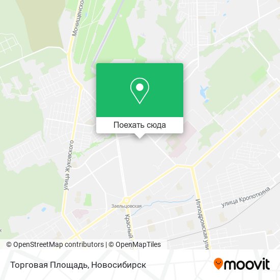 Карта Торговая Площадь