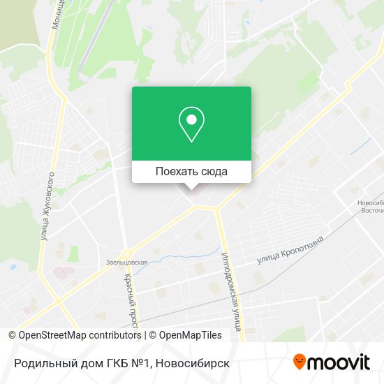 Карта Родильный дом ГКБ №1