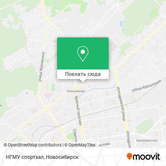 Карта НГМУ спортзал