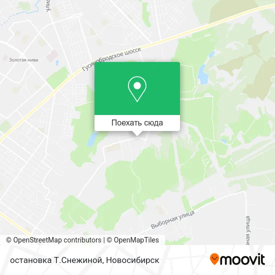 Карта остановка Т.Снежиной