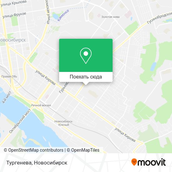 Карта Тургенева