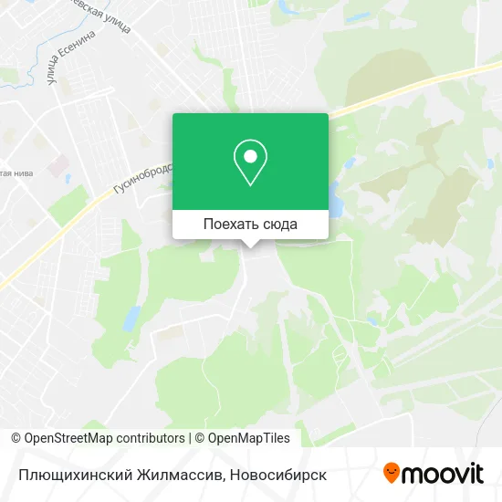 Карта Плющихинский Жилмассив