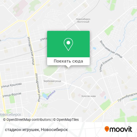Карта стадион игрушек