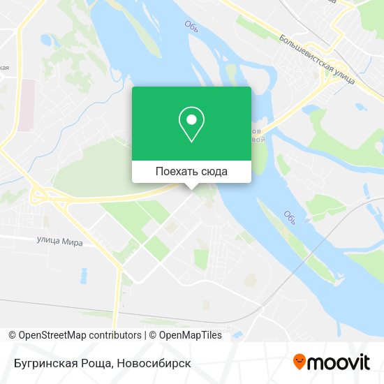 Карта Бугринская Роща