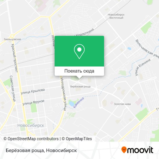 Карта Берёзовая роща